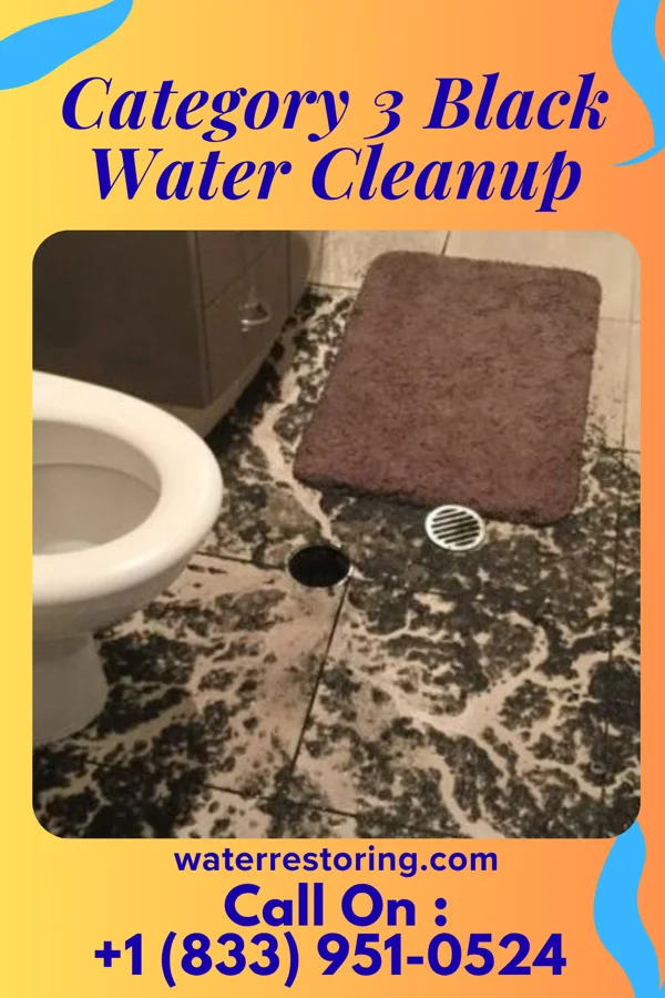 Category 3 Black Water Cleanup in Castlewood, SD