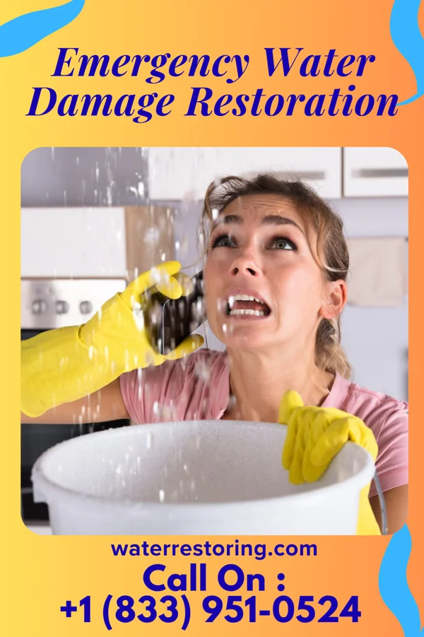 Emergency Water Damage Restoration in Castlewood, SD